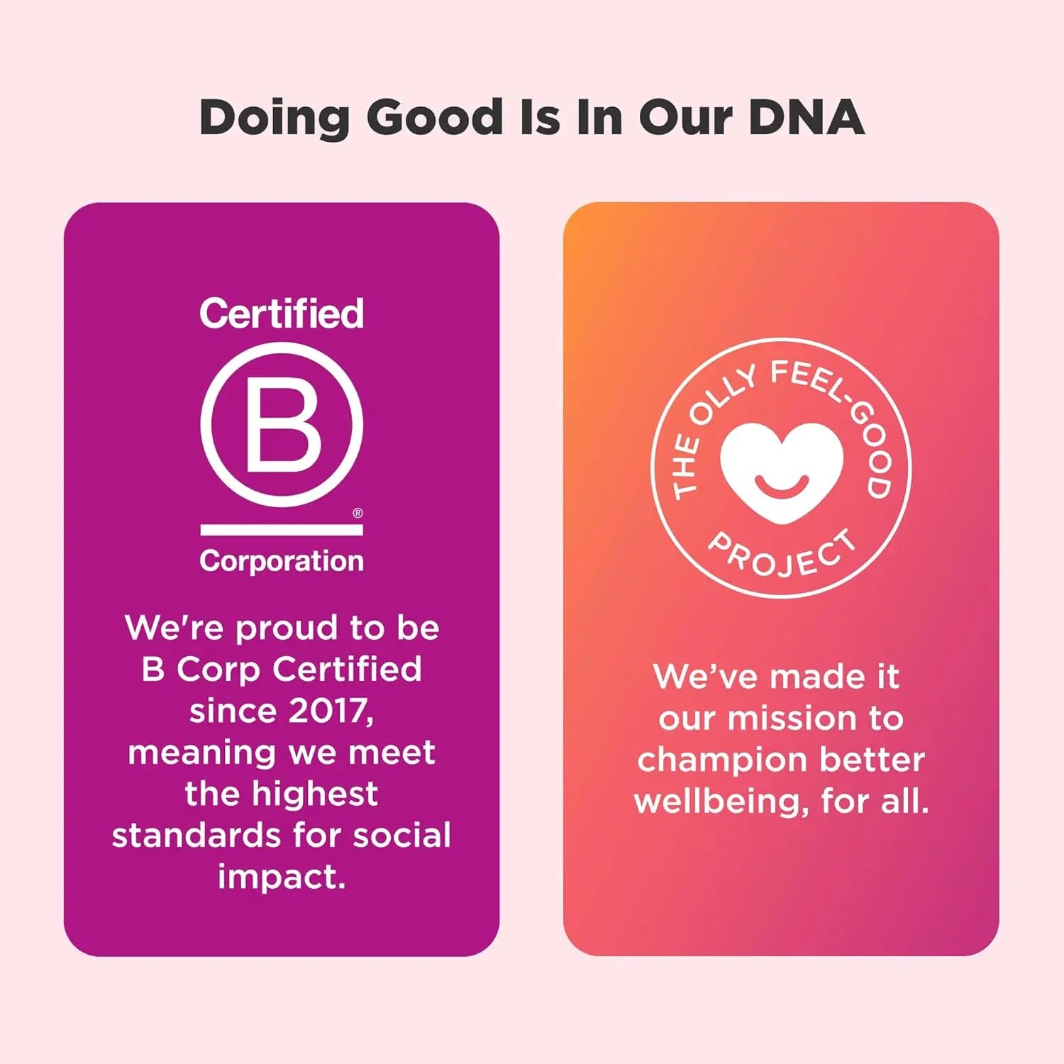OLLY B Corporation and Feel-Good Project cards showing company social responsibility