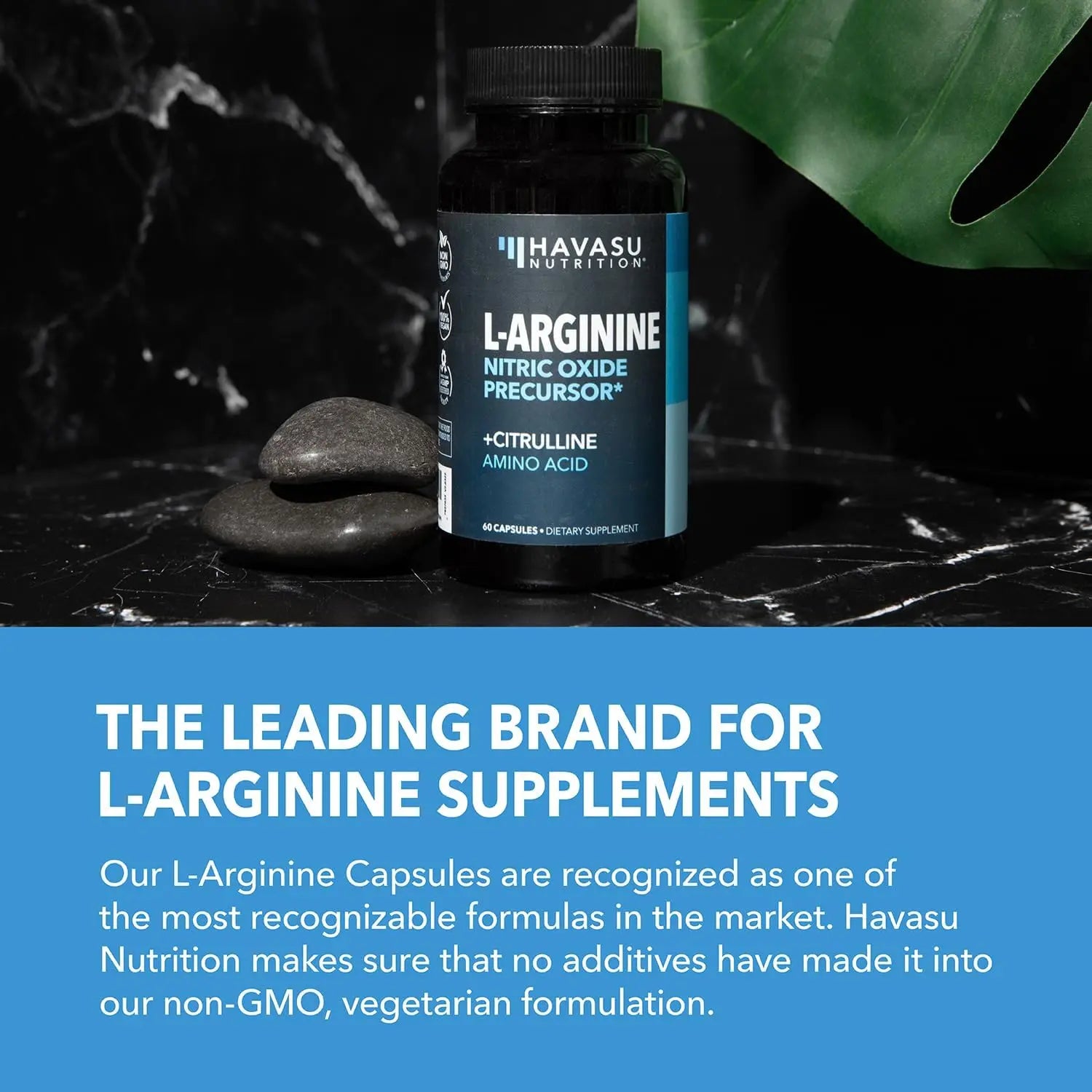 L-Arginine Capsules with L-Citrulline - Nitric Oxide Supplement - L Arginine and L Citrulline Blend - 60 Count - Vegan, Non-GMO Capsules for Performance, Endurance and Muscle Support - 1 Month Supply