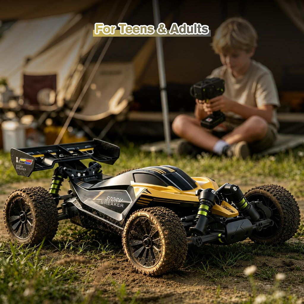RLAARLO 1/10 Brushless RC Cars, 4×4 Buggy, 50+ MPH, Carbon Fiber, Ages 8+