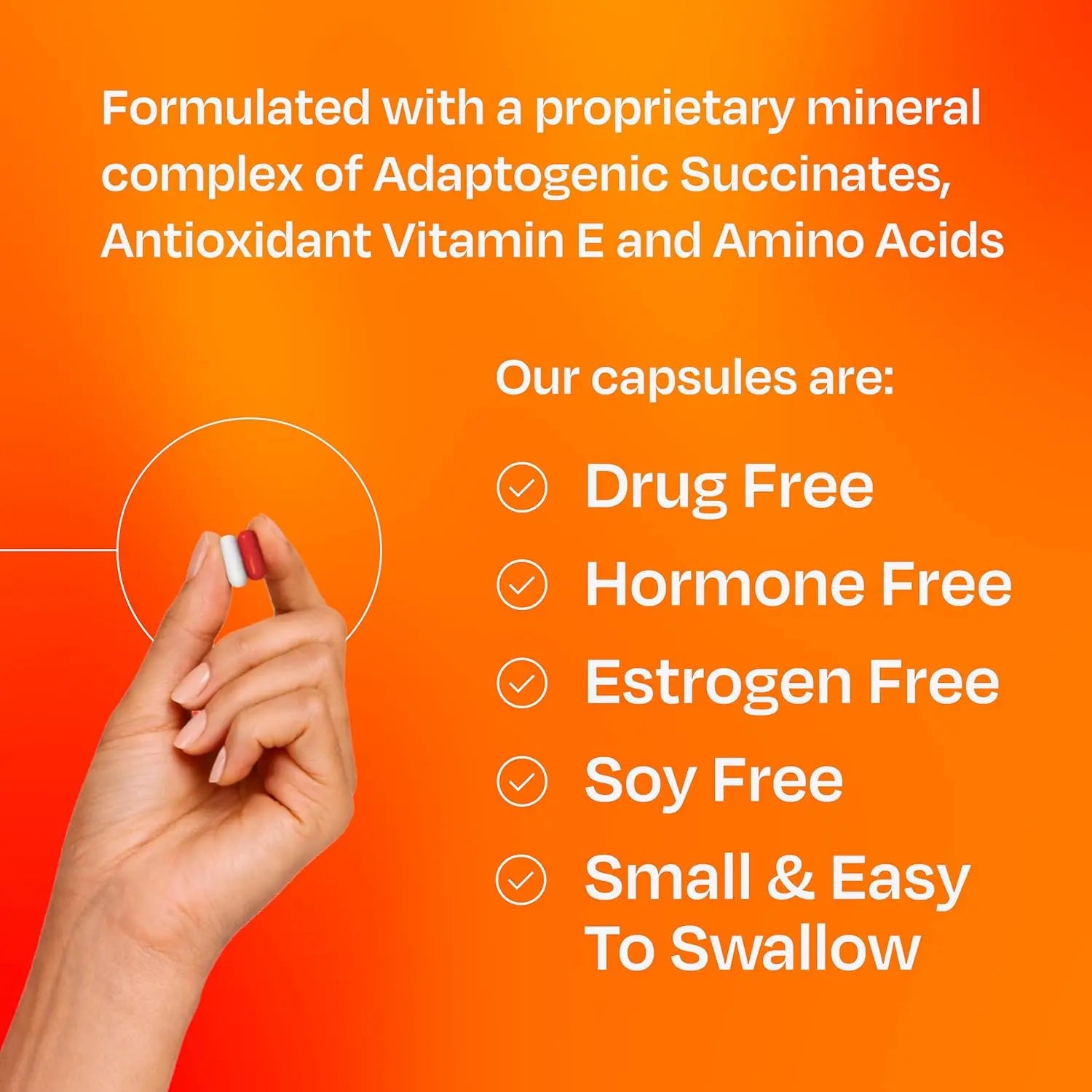 Amberen Menopause Supplement for Women, 60 Capsules, Clinically Proven, Helps Support Hormone Balance, Helps Relieve 12 Menopause Symptoms: Hot Flashes, Night Sweats, Mood Swings and More