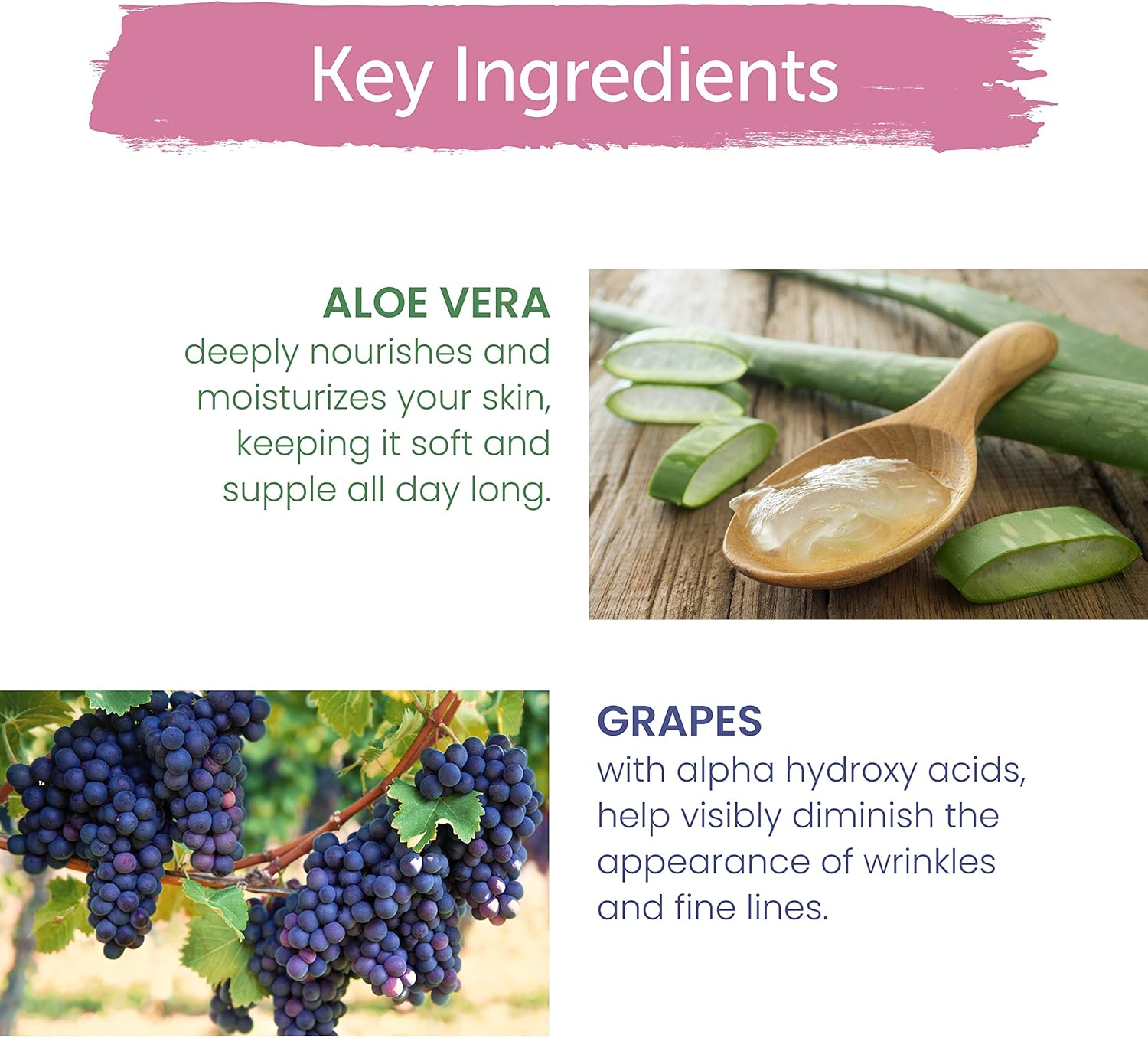 Himalaya Herbals Anti Wrinkle Cream 50 G